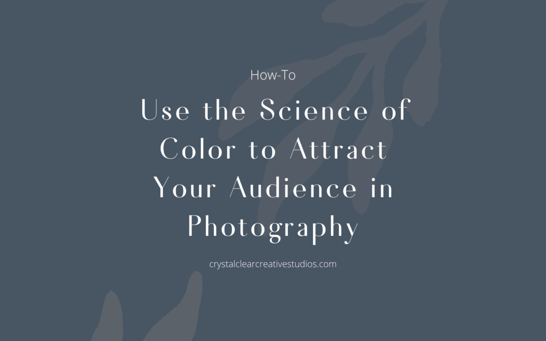 Using the Science of Color to Attract Your Audience in Photography