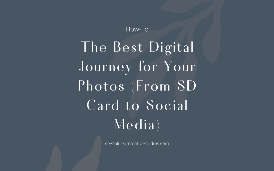 The Best Digital Journey for Your Photos (From SD Card to Social Media)